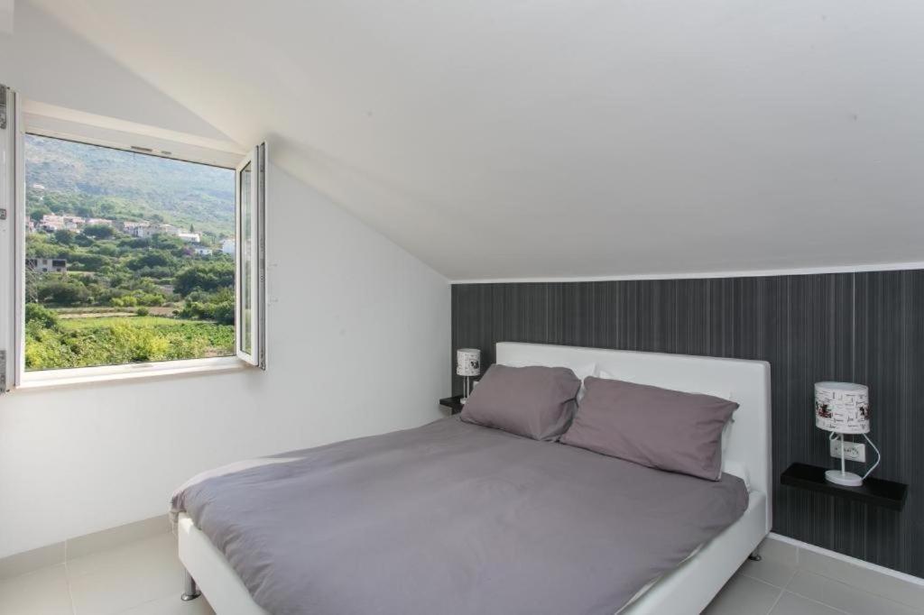 Guest house Terra Fontana *